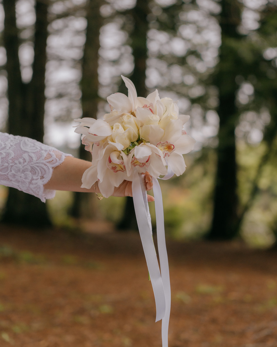 New Plymouth Wedding Photographer